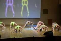 2018.03..31 Отчетный концерт-2018 (195)